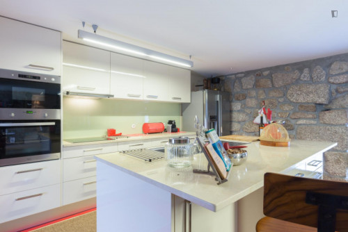 Lovely 4-bedroom house in Travanca - Gallery - 48