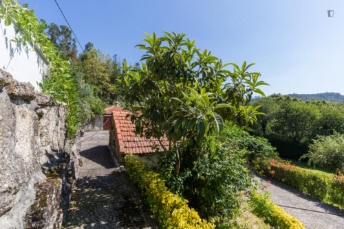 Lovely 4-bedroom house in Travanca - Gallery - 8