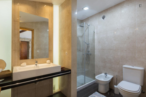 Lovely 4-bedroom house in Travanca - Gallery - 59