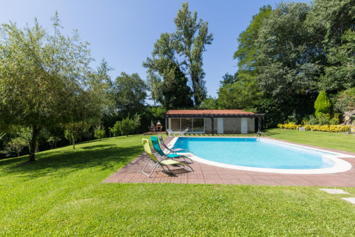 Lovely 4-bedroom house in Travanca - Gallery - 6