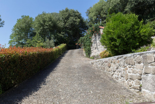 Lovely 4-bedroom house in Travanca - Gallery - 40