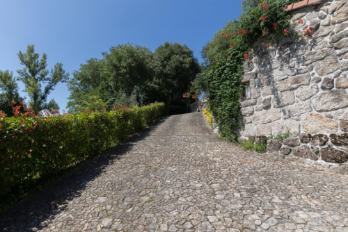 Lovely 4-bedroom house in Travanca - Gallery - 35