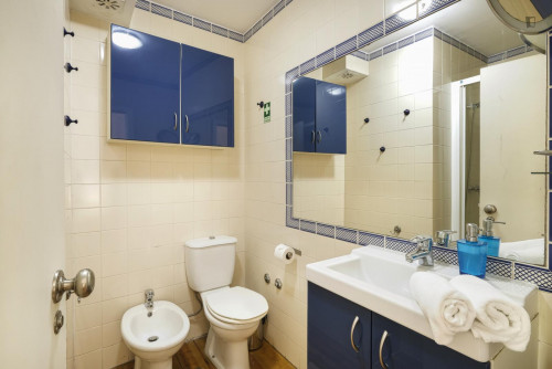 Lovely and bright duplex close to Ascensor da Bica