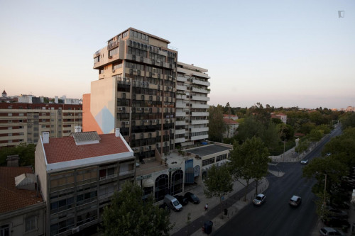 Lovely single bedroom in 5-bedroom apartment, close to Universidade de Lisboa