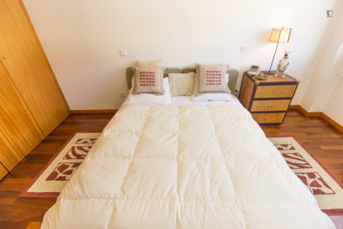 Classy 3-bedroom apartment in Oliveira do Castelo