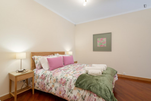 Great 2-bedroom apartment with balcony and river view  near Jardim do Morro
