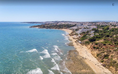 Wonderful 1-bedroom flat in Santa Eulália - Gallery - 5