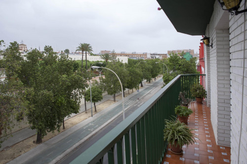 Friendly singles bedroom in a 4-bedroom apartment un Triana - Gallery - 9
