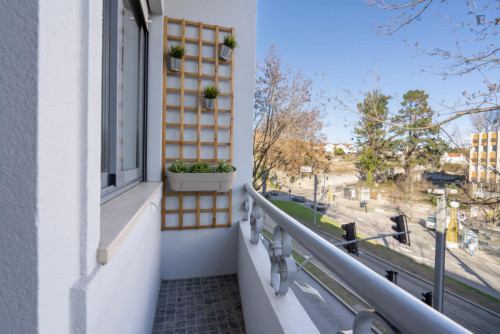Contemporary 2-bedroom apartment with balcony next to Jardim do Morro - Gallery - 18
