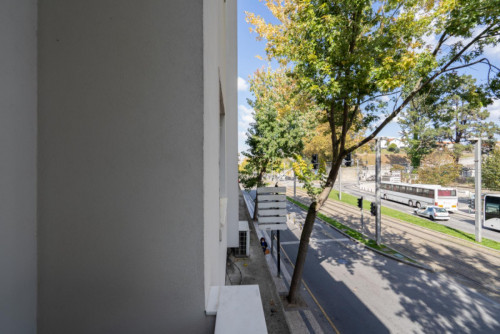 Inviting 3-bedroom apartment with balcony next to Jardim Morro - Gallery - 28