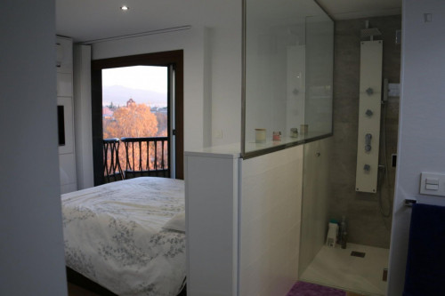 Amazing 1-bedroom apartment near Plaza del Humilladero