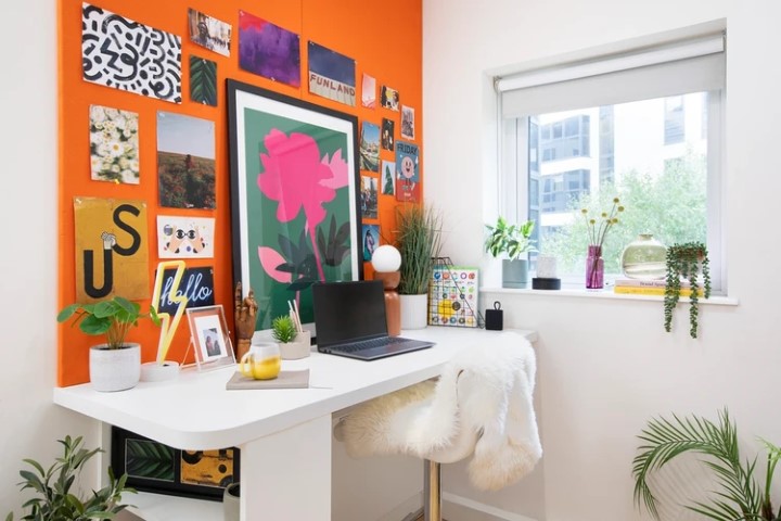  Double Wheelchair Accessible Studio  -  Adam Street Gardens  - Gallery -  2