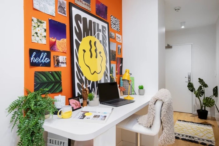  Small High Double Studio  -  Adam Street Gardens  - Gallery -  2