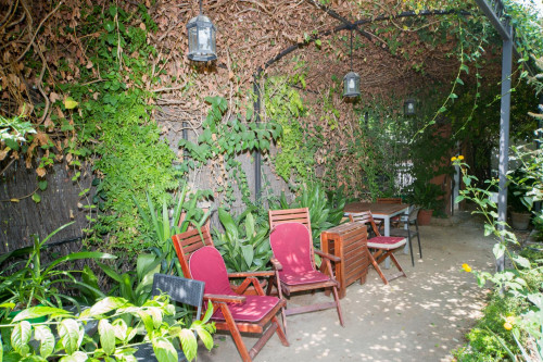 Homely studio in Albaicín - Gallery - 10