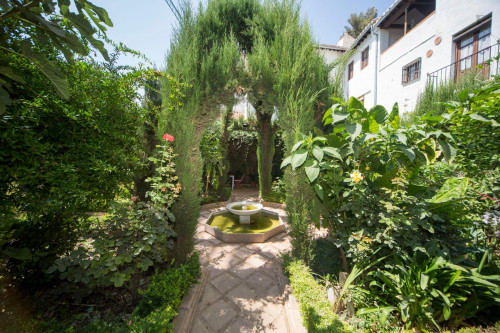 Homely studio in Albaicín - Gallery - 7