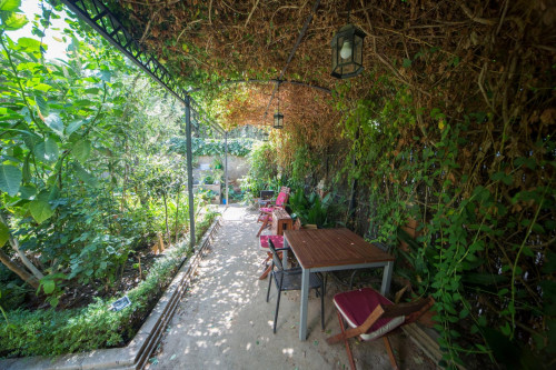 Homely studio in Albaicín - Gallery - 12