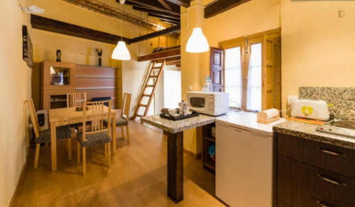 Homely studio in Albaicín - Gallery - 16