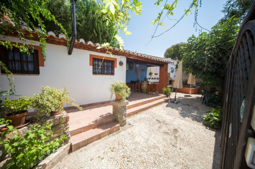 Homely studio in Albaicín - Gallery - 5