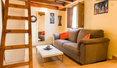 Homely studio in Albaicín - Gallery - 19