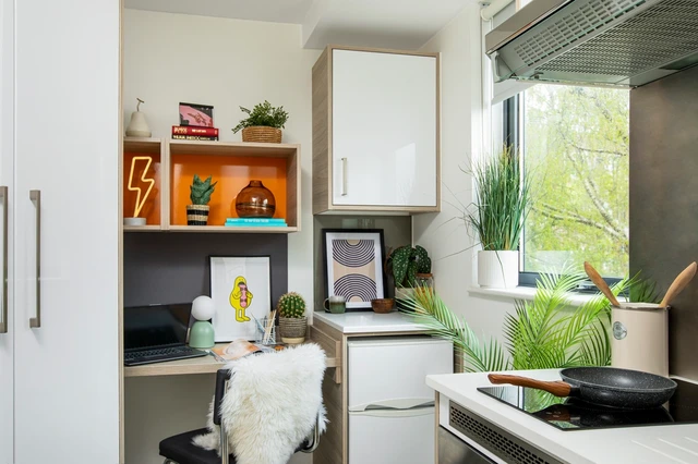 Small High Double Studio - اربور هاوس - Gallery - 2