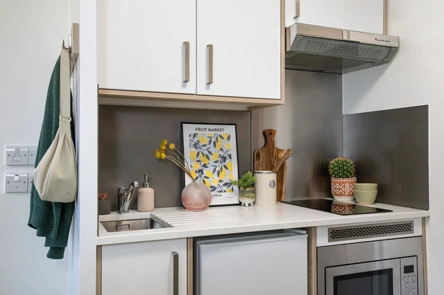 Double Partly Accessible Studio - اربور هاوس - Gallery - 3