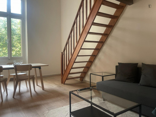 Spacious 1-bedroom apartment near Sainte-Blandine Tramway Station  - Gallery -  5