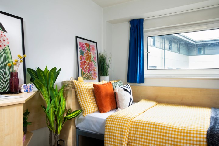 Large Standard Double En-Suite: Three Bedroom Flat - 1