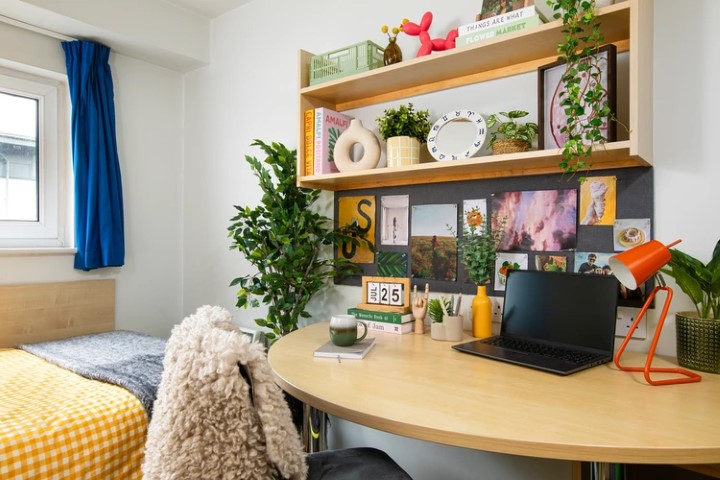 Large Standard Double En-Suite: Three Bedroom Flat - 3