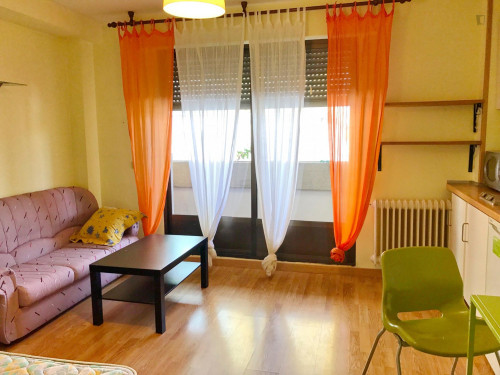 Lovely studio in Santa Marta de Tormes - Gallery - 23