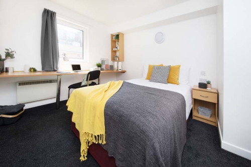 Moorfield - Gallery - 9
