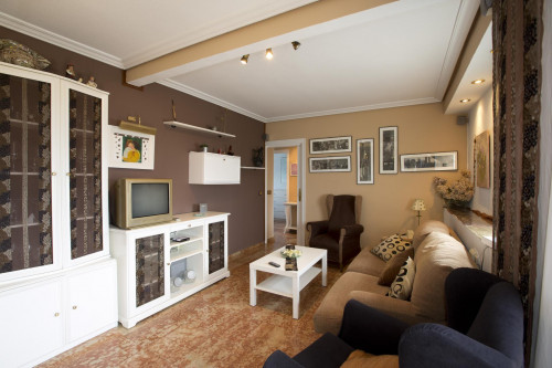 Cosy 3-bedroom apartment in beautiful Seville - Gallery - 23