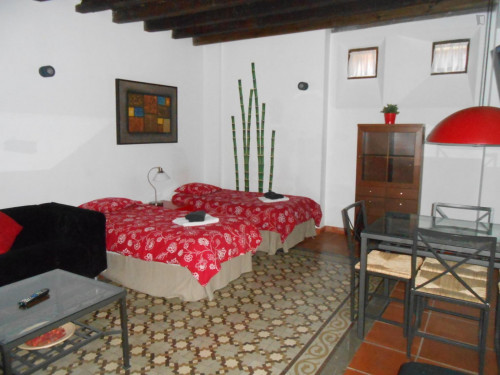 Very cool 2-bedroom apartment in the hip centre of Granada  - Gallery -  5