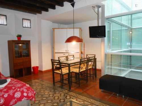 Very cool 2-bedroom apartment in the hip centre of Granada