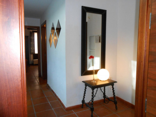 Very cool 2-bedroom apartment in the hip centre of Granada - Gallery - 10