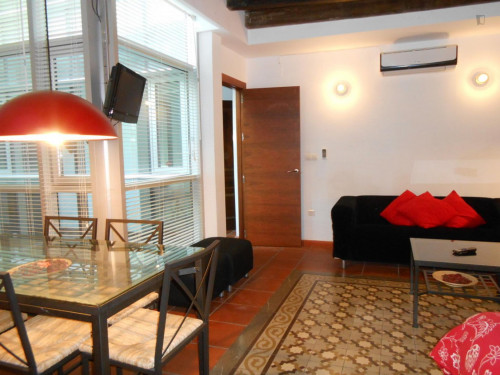 Very cool 2-bedroom apartment in the hip centre of Granada