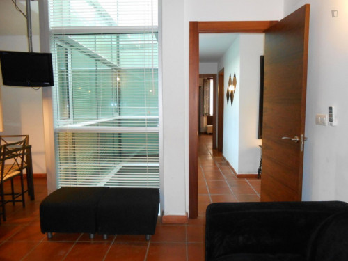 Very cool 2-bedroom apartment in the hip centre of Granada