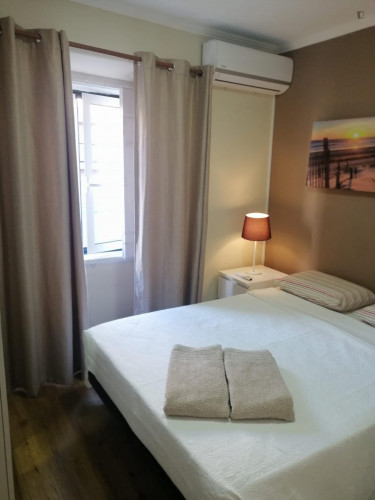 Nice 2-Bedroom Apartment close to Praça do Bocage - Gallery - 22