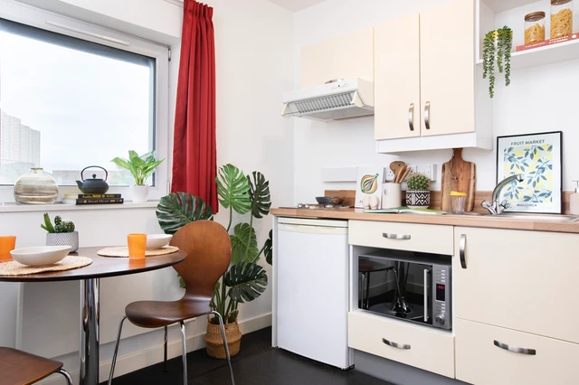  Large Standard Double Studio  -  Kyle Park House  - Gallery -  4