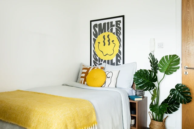  Large Standard Double Studio  -  Kyle Park House  - Gallery -  3