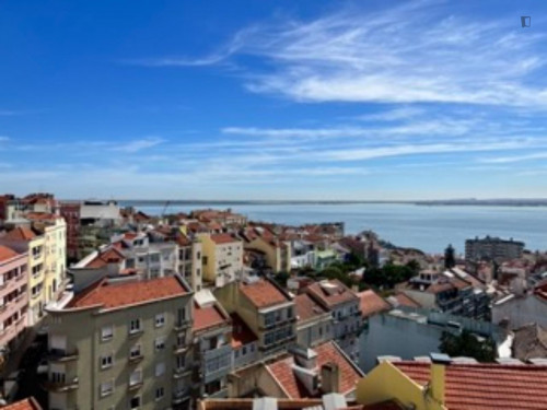 Charming 1-bedroom flat in Graça  - Gallery -  5