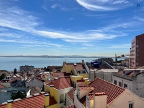 Charming 1-bedroom flat in Graça