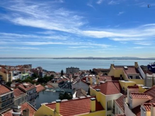 Charming 1-bedroom flat in Graça