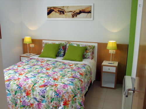 Gorgeous 1-bedroom apartment near the Plaza de Anaya