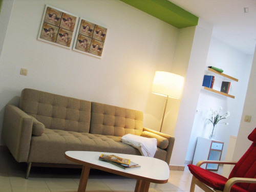 Gorgeous 1-bedroom apartment near the Plaza de Anaya