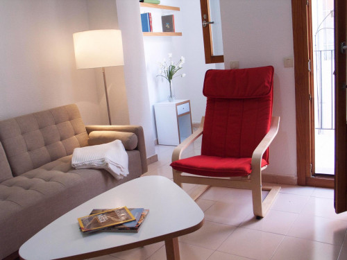 Gorgeous 1-bedroom apartment near the Plaza de Anaya
