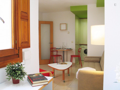 Gorgeous 1-bedroom apartment near the Plaza de Anaya  - Gallery -  5
