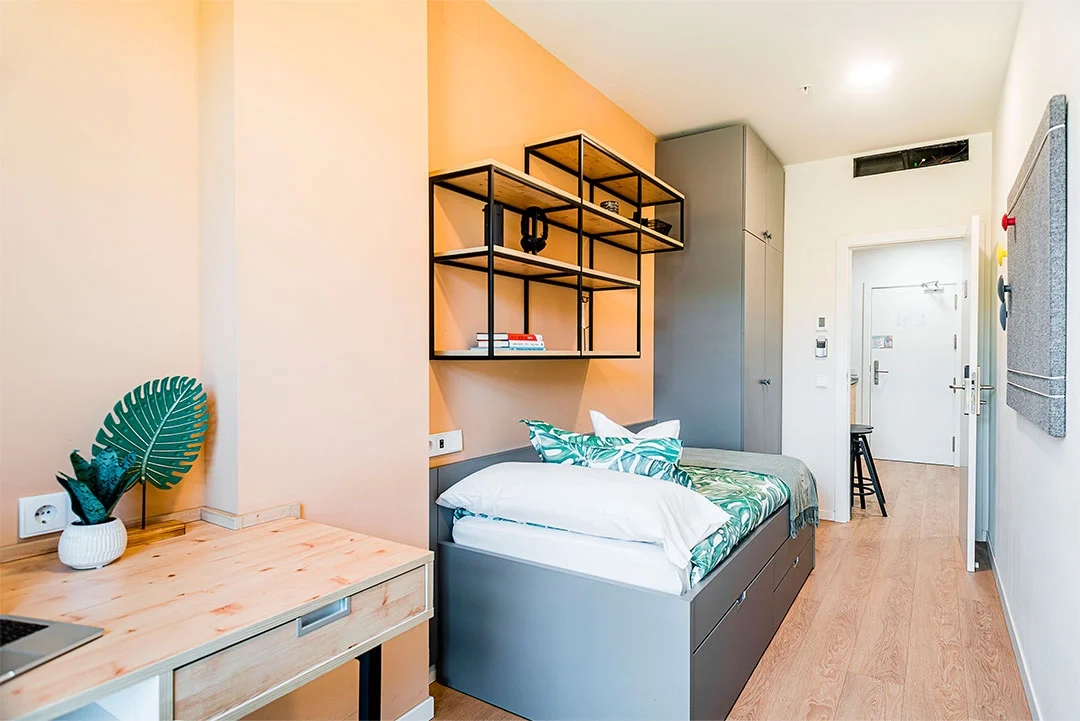 Apartment Superior 2 Rooms - 4
