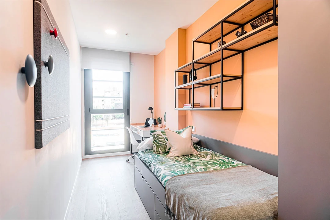 Apartment Superior 2 Rooms