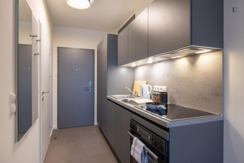 Lovely studio in proximity to the Technical University