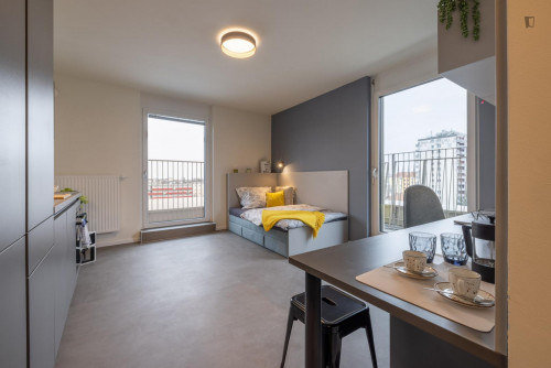 Lovely studio in proximity to the Technical University